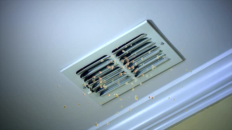 Best Best Air Duct Cleaning Company  in Huntington, TX